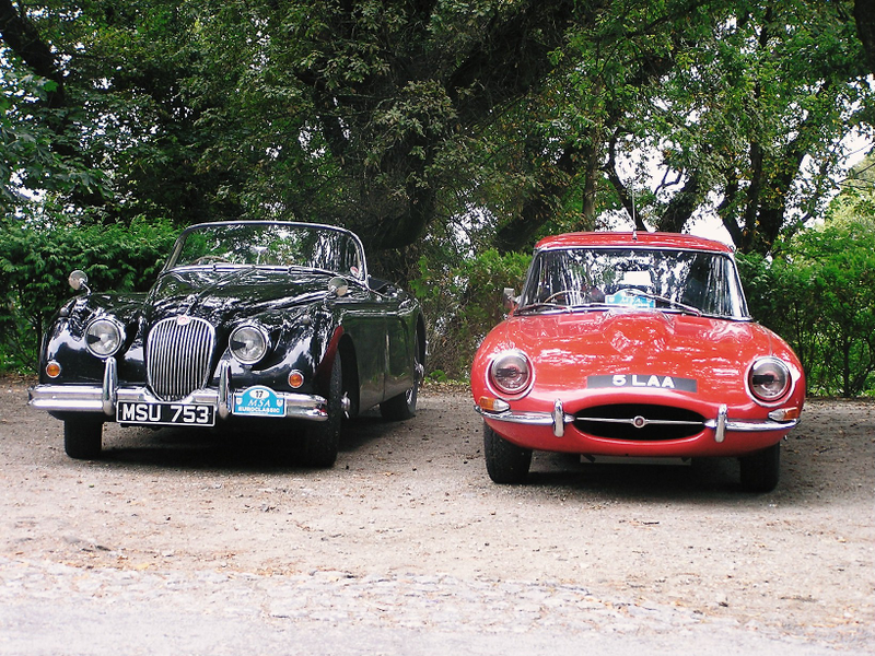 Illustration for article titled From Portugal, with (auto) love